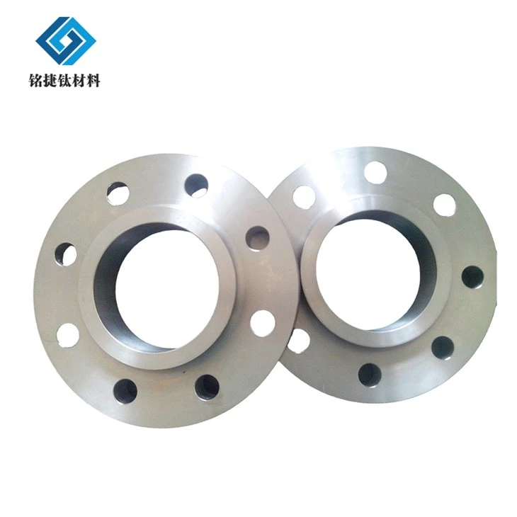Gr2 Tiatnium Flange