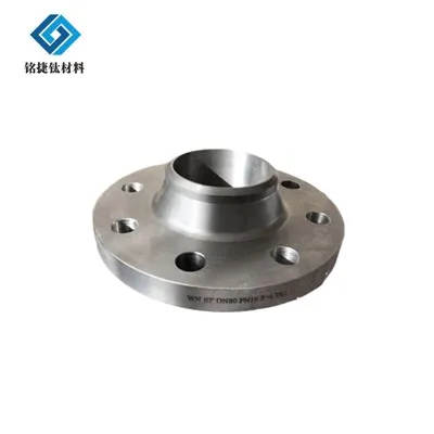 Gr5 ٹائٹینیم فلانج